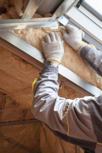 Best Local Insulation Services  in Fairview Ferndale, PA