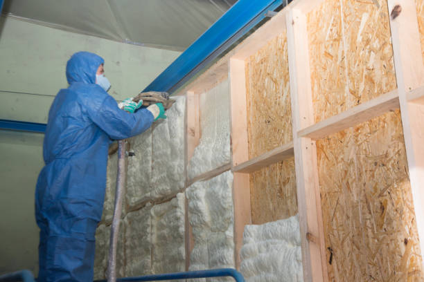 Best Cellulose Insulation  in Fairview Ferndale, PA
