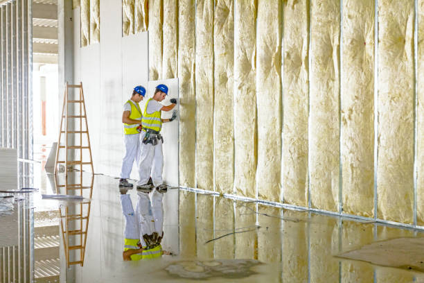 Best Energy-efficient Insulation  in Fairview Ferndale, PA